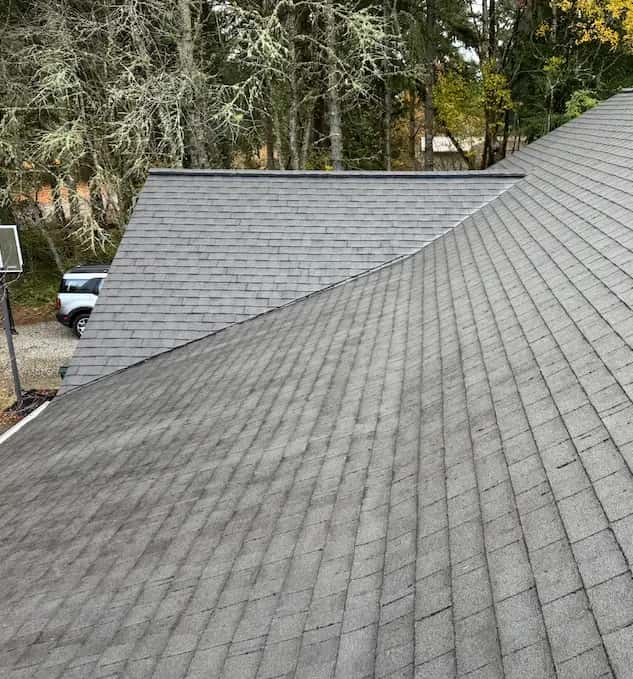 Clean gray asphalt shingle roof with no moss, lichen-covered trees and a parked SUV in the background.