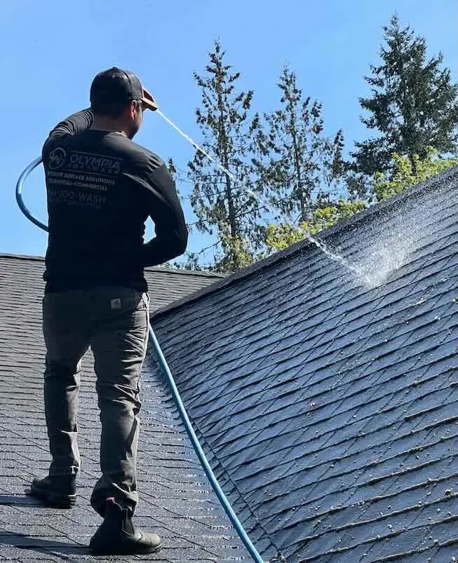 Olympia Softwash technician on a dark asphalt shingle roof spraying soft wash solution, evergreen trees behind.