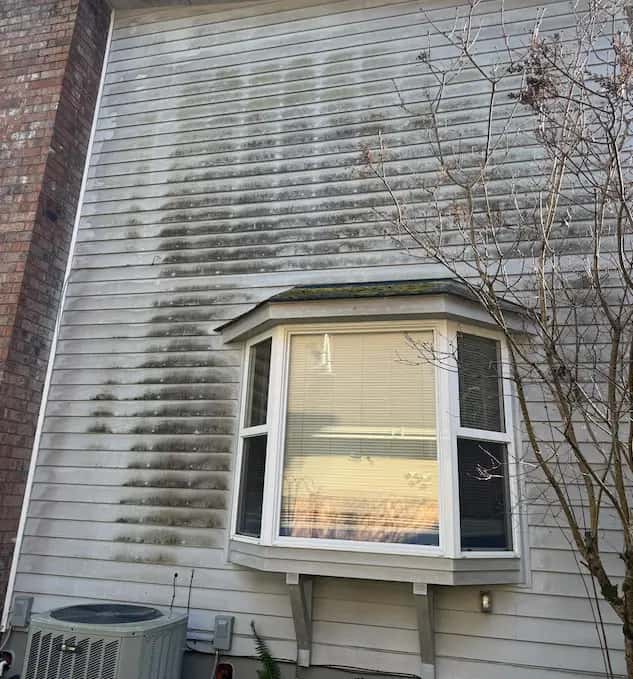 White lap siding with heavy black mildew streaks above a bay window, before a soft wash house cleaning.